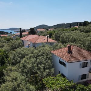 1Bor Apartments Poljana